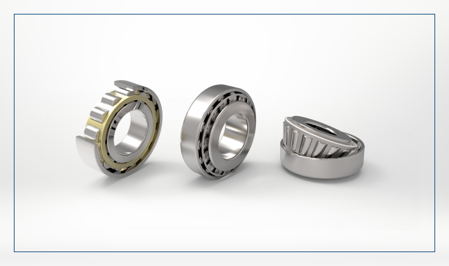 Cylindrical & Taper Roller Bearings
