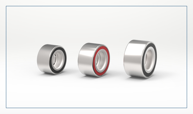 Unitized Double Raw Ball Bearings